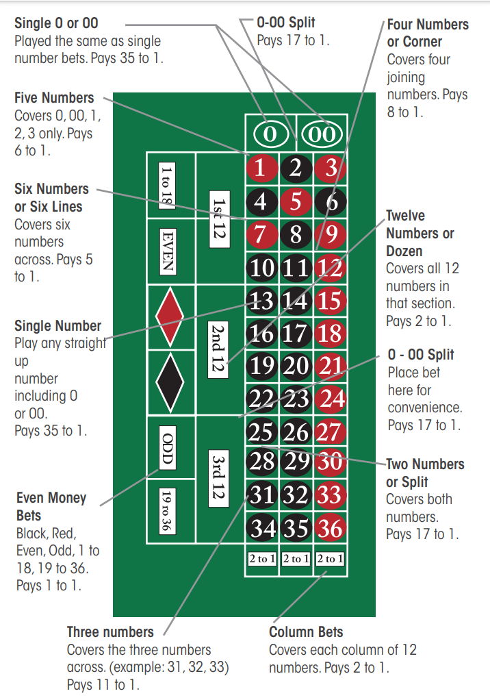 What are the payout odds for different Roulette bets?